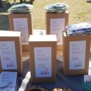 반디장터 이미지