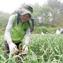 대호지농협하나로마트 이미지