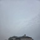 파인스크린골프(427) | 봄철 진달래 골프 라운딩 골프장 좀 한산하네(여주 캐슬파인cc 후기)