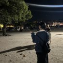 ☀︎경주 여행☀︎/월정교/전촌용굴/문무대왕릉/첨성대/황리단길 데이트