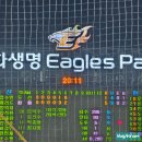 보영만두한화이글스파크점