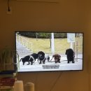 하리네 하우스 이미지