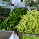 빨간고추 이미지