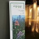 더프란츠