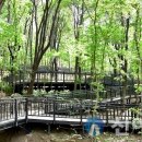 수락산 순환산책로 이미지