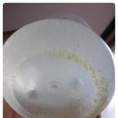 도도바이오 이미지