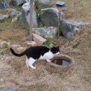 콩제 | 강화도 여행 숙소 깔끔하고 감성가득한 콩제 내돈내산 후기