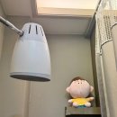 평촌자연과한의원 | 기미 잡티 제거 레이저, 범계 한의원 피부시술, 듀얼토닝 솔직 후기, 1회차 시작!