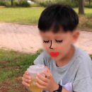 나혼자산다 박나래 콤부차 스테비아 콤부차 아로마빌커피
