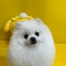 빛날시간 이미지