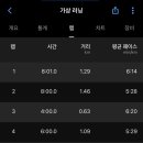 파틀렉 이미지