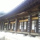 정이청과 이미지