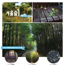 서울숲 무지개터널 앞 이미지