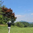 그린누룽지백숙 | 6월 센테리움CC 라운딩 완전 힐링이야!..(feat.) 토종한방누룽지백숙