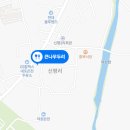 큰나무두리