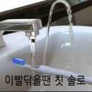 도레미파도 Daum카페