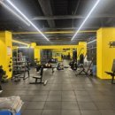 알로하 피트니스 이미지