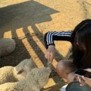 늘푸름목장 이미지