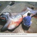 장소미정 이미지