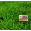 부산수목전시원 이미지