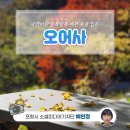 오어사 공영주차장 | 자연이란 알록달록 예쁜 옷을 입은 오어사