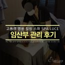 스파루체 이미지