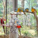 세류3 139-12 | 푸꾸옥 빈펄 사파리 교통편 입장권 트램 공연 주키퍼 포함 체험 후기