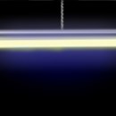 상상하는 아시아 | <우리가 빛이라 상상하는 모든 것> 후기