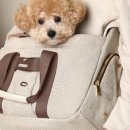 소명메디칼 이미지