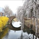 원다리길 이미지