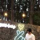 제주에 오길 잘했다 이미지