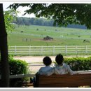 인성목장 이미지