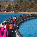 영랑호수윗길 이미지