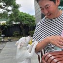 형선농장 네이버블로그