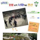 삼척 너와마을 Daum카페