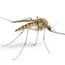 반디 동물병원 이미지