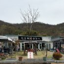다사랑손칼국수