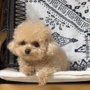 진우1리 (옥내1) | 👻한국민속촌 야간개장 후기🎶(유혈 포함..!심약자 주의(?))