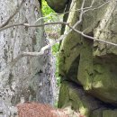 내서읍006 이미지