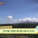 스테이시도 이미지