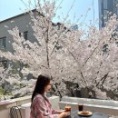 토스트앤커피 | 대구 교동 벚꽃뷰 감성카페 새들스커피앤바 프렌치토스트 주말 오픈런 후기