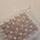 농업회사법인 대관령양떼목장 주식회사 | 농업회사법인 양계장청년 주식회사 유정란 난각1번