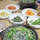 구례다슬기 이미지