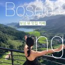 광주광역시 근교 전남보성카페 초록잎이펼치는세상티하우스보성차밭점