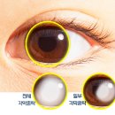 라메종옵티크 이미지