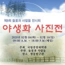 전국야생화전시회 이미지