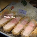수성구청역 3번 출구(수협) | 대구 돈까스 맛집 톤쇼우 솔직후기 주차정보