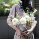 개나리꽃집 이미지