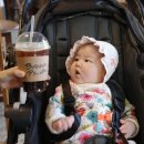 브라운피크닉 이미지