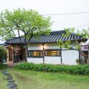 차꽃오미 이미지